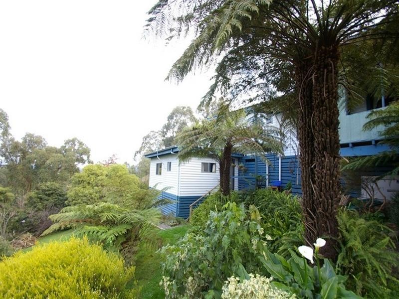 Healesville VIC 3777