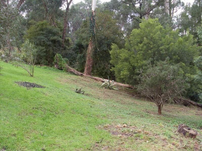 Healesville VIC 3777