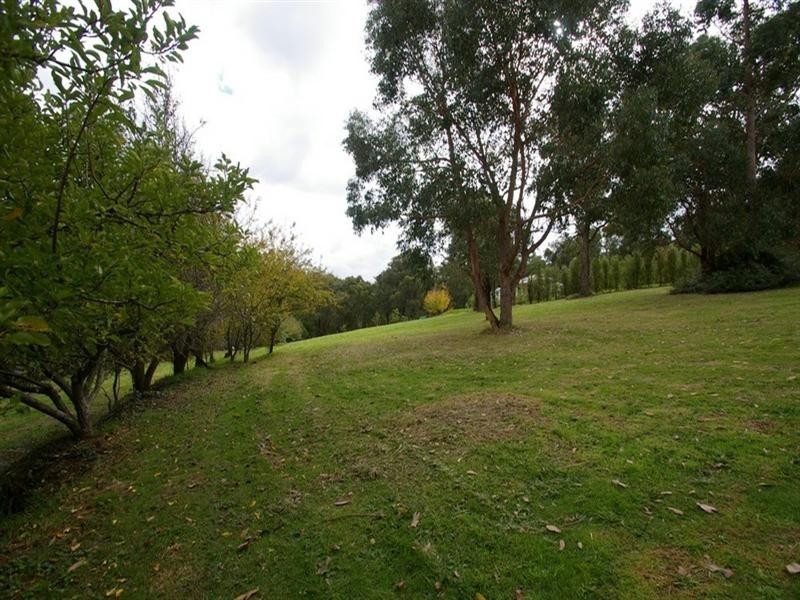 Healesville VIC 3777