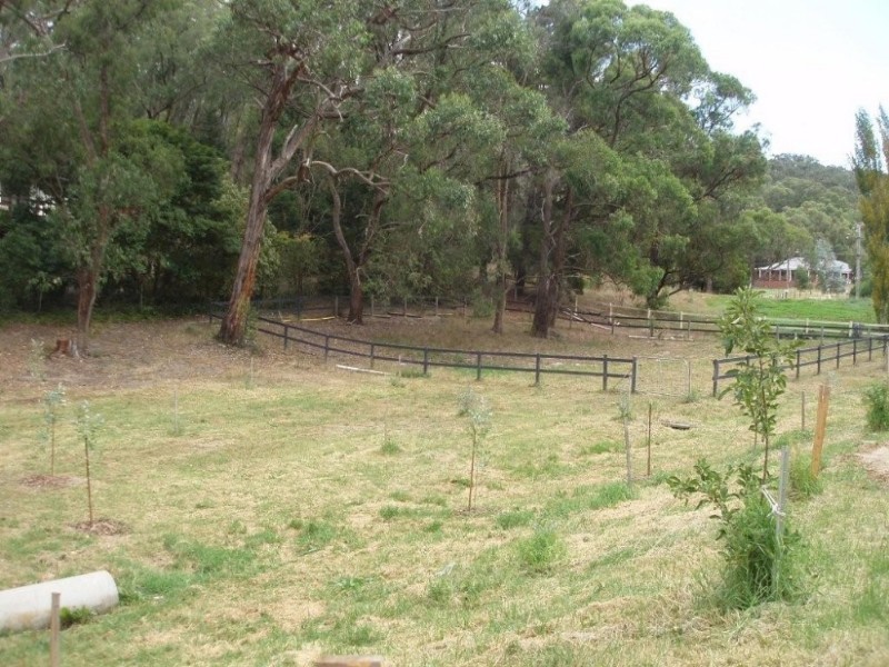 Healesville VIC 3777