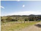 Healesville VIC 3777