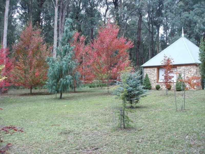 Narbethong VIC 3778