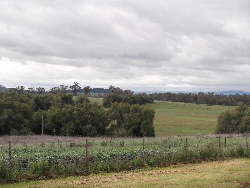 10 Gilmore Lane, Gooloogong NSW 2805