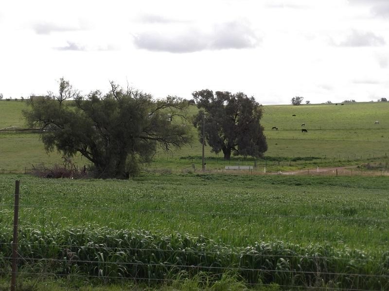 10 Gilmore Lane, Gooloogong NSW 2805