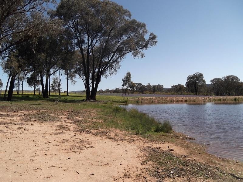 384A Fragar Road, Cowra NSW 2794