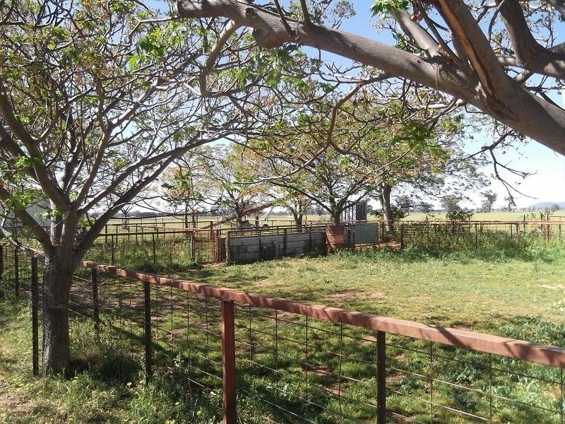 727 Barryrennie Road, Cowra NSW 2794