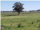 727 Barryrennie Road, Cowra NSW 2794