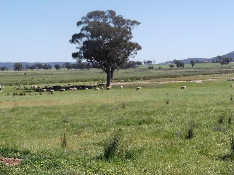 727 Barryrennie Road, Cowra NSW 2794