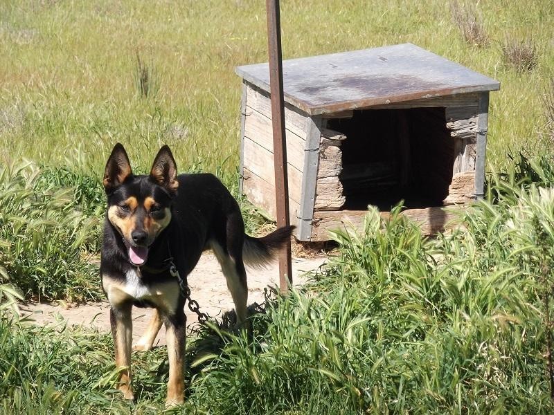 727 Barryrennie Road, Cowra NSW 2794