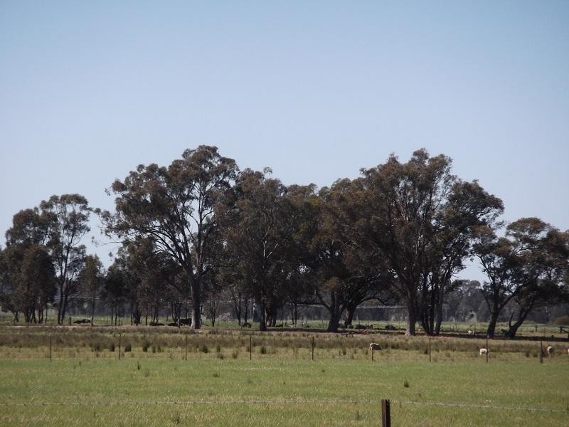 727 Barryrennie Road, Cowra NSW 2794