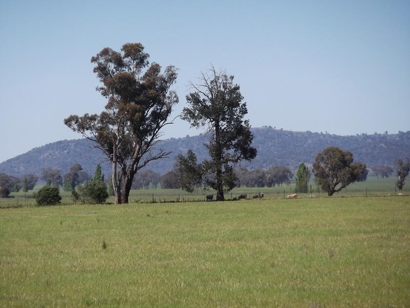 727 Barryrennie Road, Cowra NSW 2794