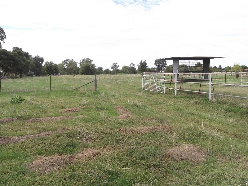 67 Airport Road, Cowra NSW 2794