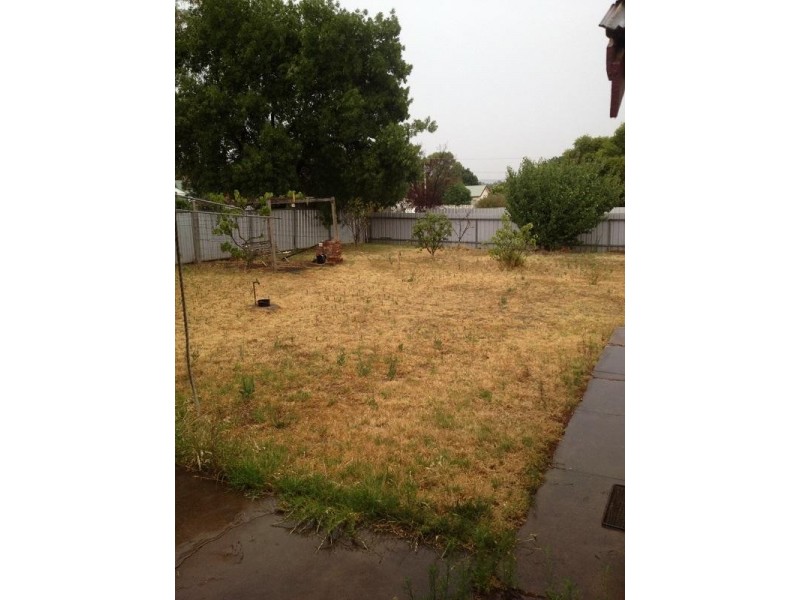 59 Belmore Street, Canowindra NSW 2804