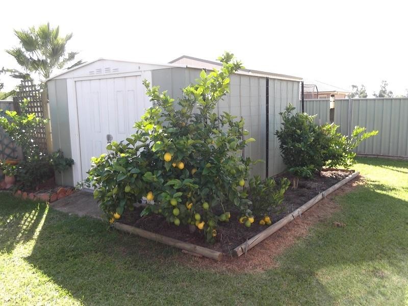 67 Lyall Street, Cowra NSW 2794