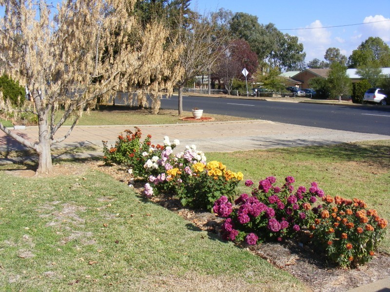 105 Lachlan Street, Cowra NSW 2794