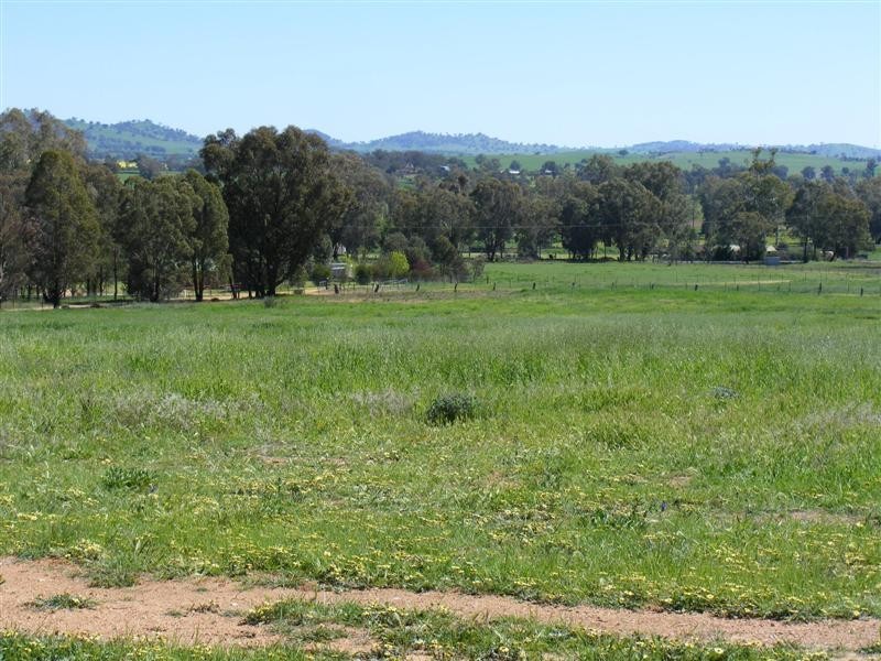 Lot 29 Kangaroo Flat Road, Cowra NSW 2794