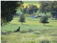 Lot 29 Kangaroo Flat Road, Cowra NSW 2794