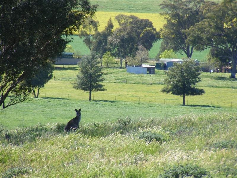 Lot 29 Kangaroo Flat Road, Cowra NSW 2794