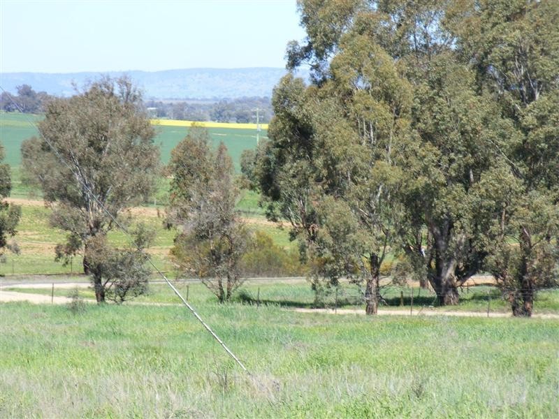 Lot 29 Kangaroo Flat Road, Cowra NSW 2794