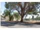 31 Grenfell Road, Cowra NSW 2794