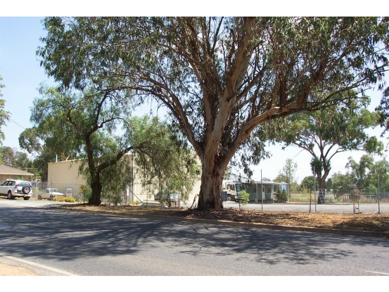 31 Grenfell Road, Cowra NSW 2794