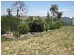 60 Pine Springs Road, Woodstock NSW 2793