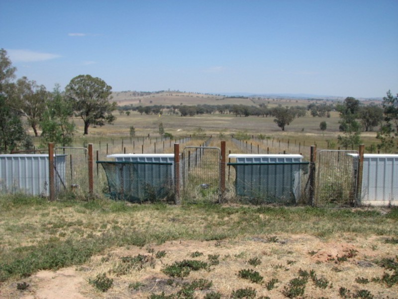 60 Pine Springs Road, Woodstock NSW 2793