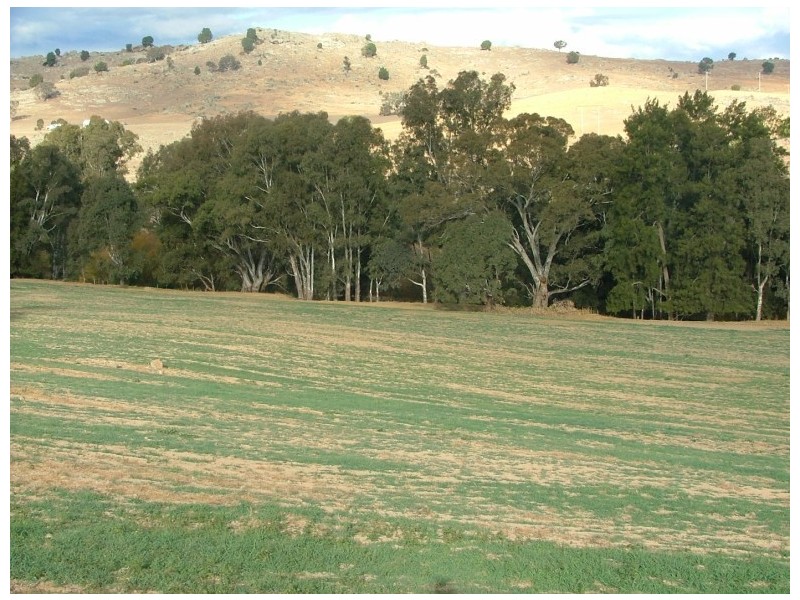 42 Clearview Road, Cowra NSW 2794