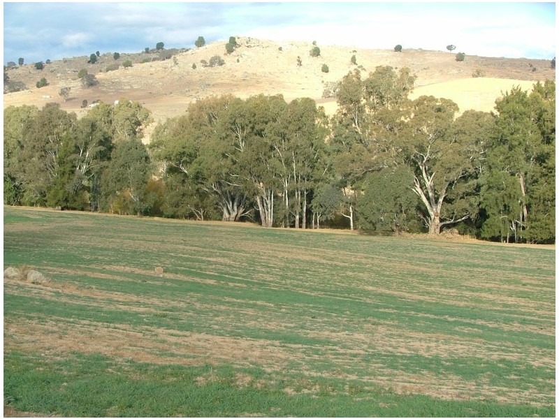 42 Clearview Road, Cowra NSW 2794