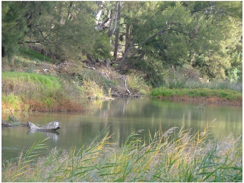 42 Clearview Road, Cowra NSW 2794