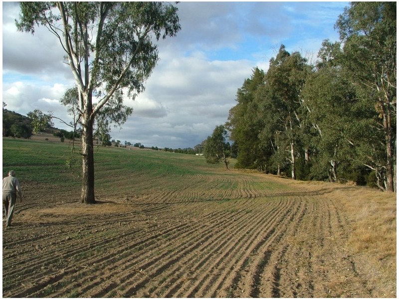 42 Clearview Road, Cowra NSW 2794