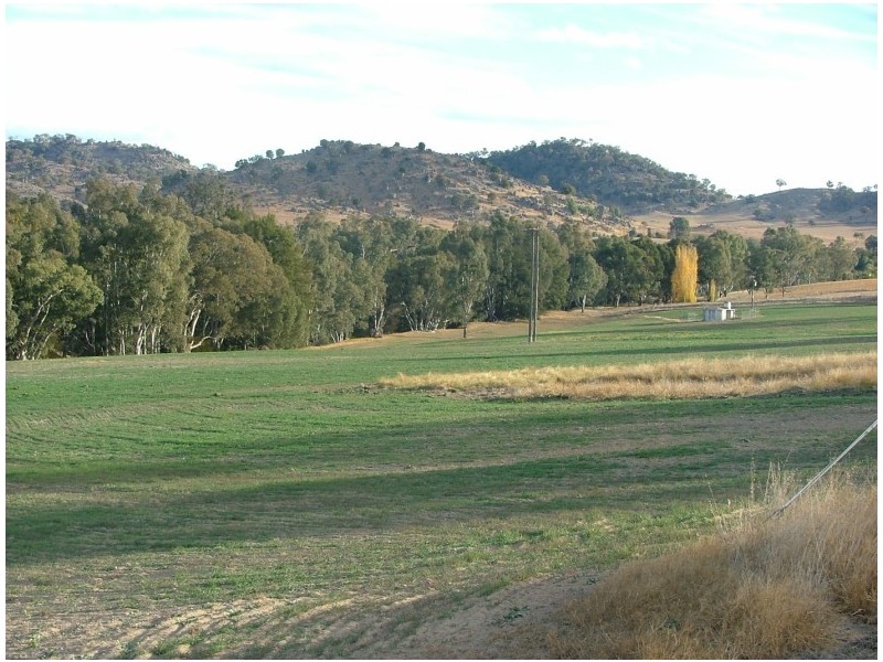 42 Clearview Road, Cowra NSW 2794