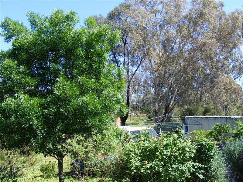 70 Lynch Street, Cowra NSW 2794