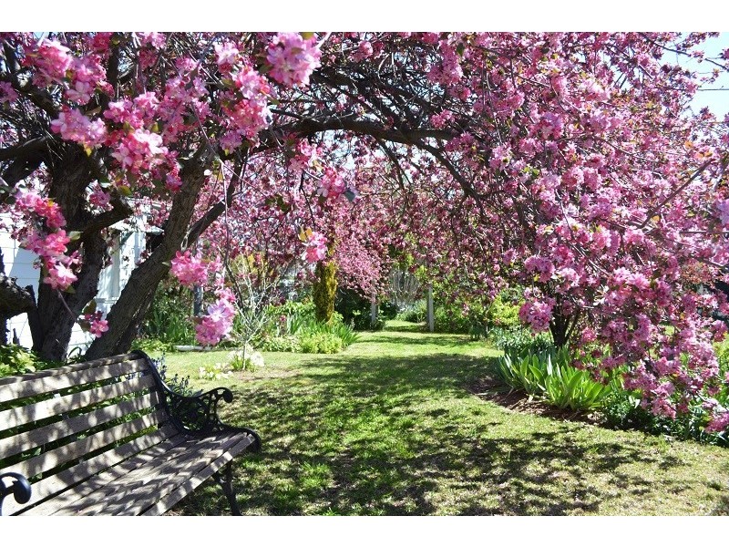 116 Gaskill Street, Canowindra NSW 2804