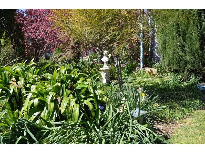 116 Gaskill Street, Canowindra NSW 2804