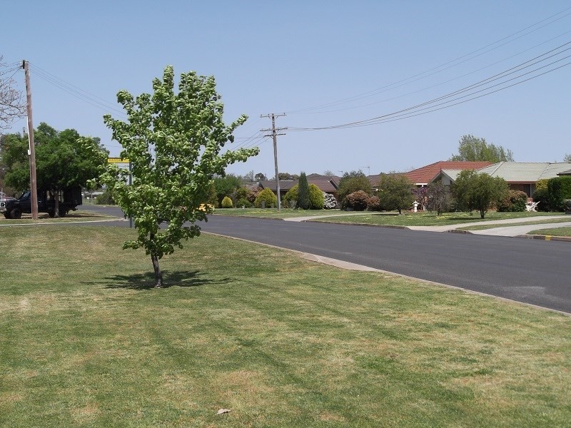 16 Hartley Street, Cowra NSW 2794