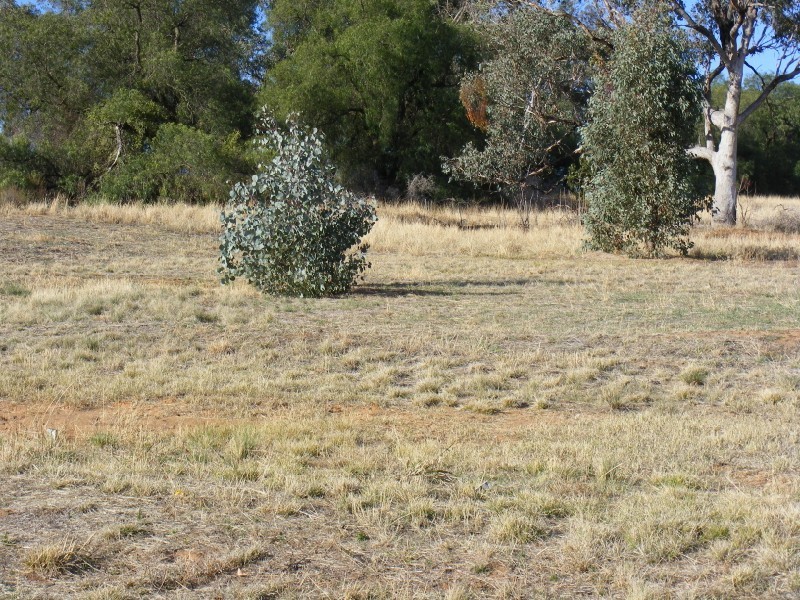Lot 201 London Drive, Cowra NSW 2794