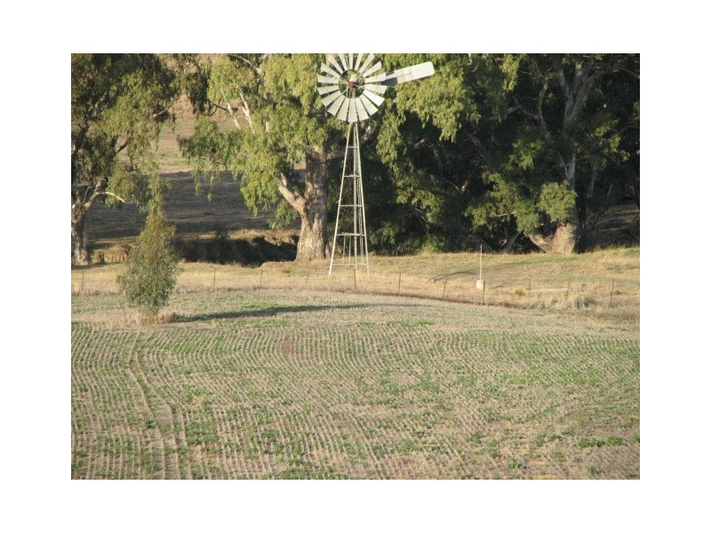 Cowra NSW 2794