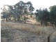 Cowra NSW 2794