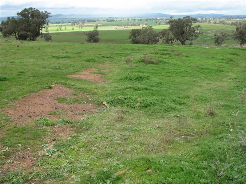 169 Cultowa Lane, Billimari NSW 2804