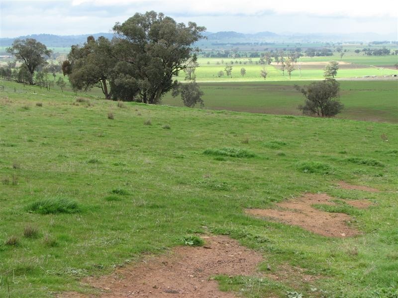 169 Cultowa Lane, Billimari NSW 2804