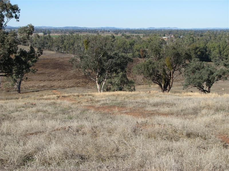 169 Cultowa Lane, Billimari NSW 2804