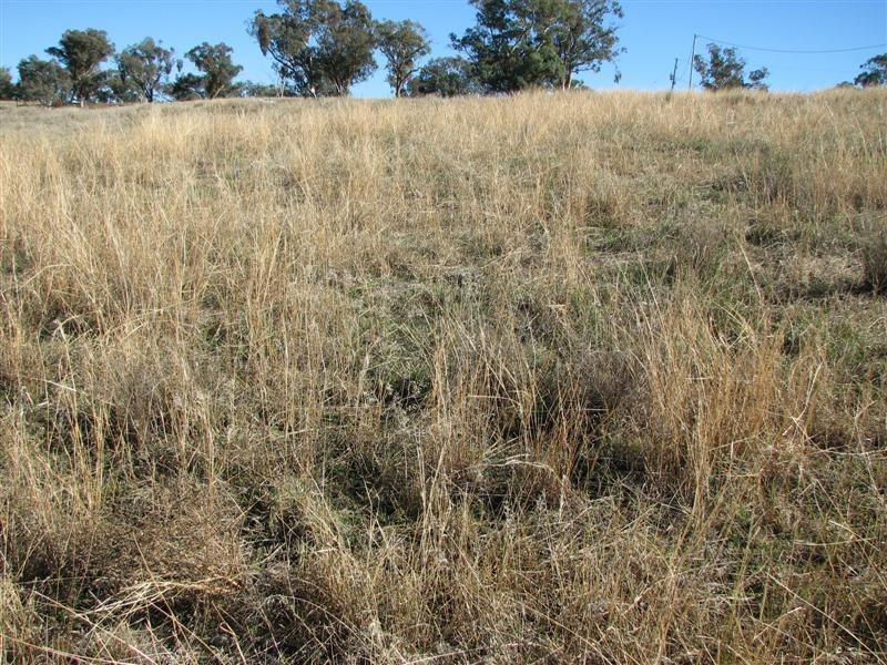 169 Cultowa Lane, Billimari NSW 2804