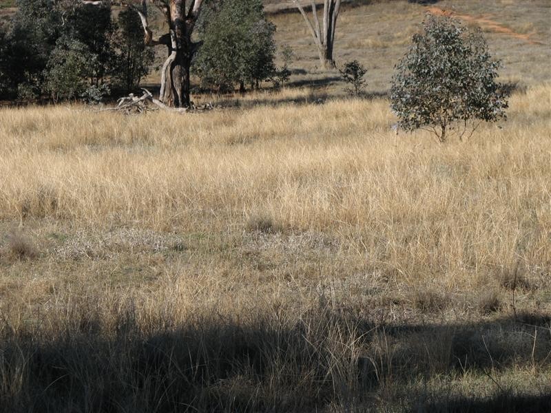 169 Cultowa Lane, Billimari NSW 2804