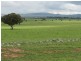 Lot 9 Cultowa Lane, Billimari NSW 2804