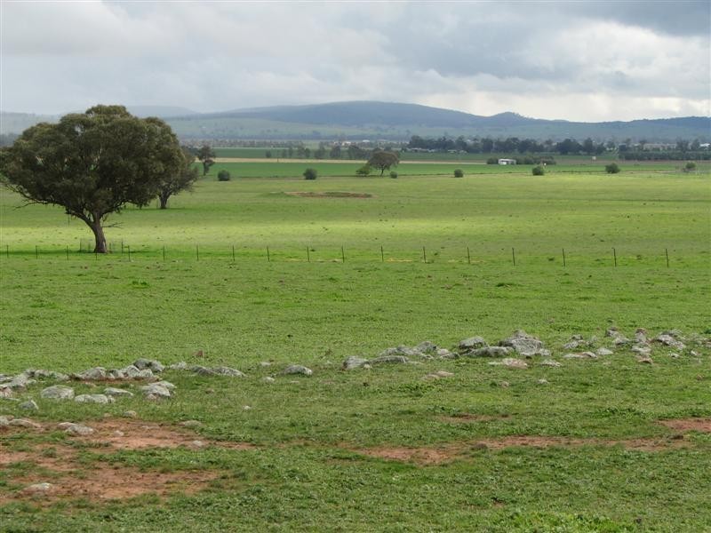 Lot 9 Cultowa Lane, Billimari NSW 2804