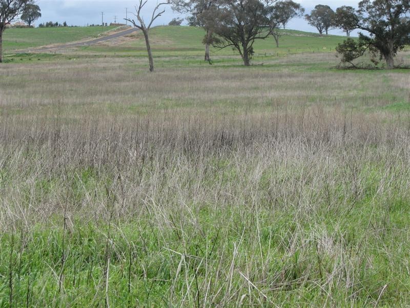 Lot 9 Cultowa Lane, Billimari NSW 2804