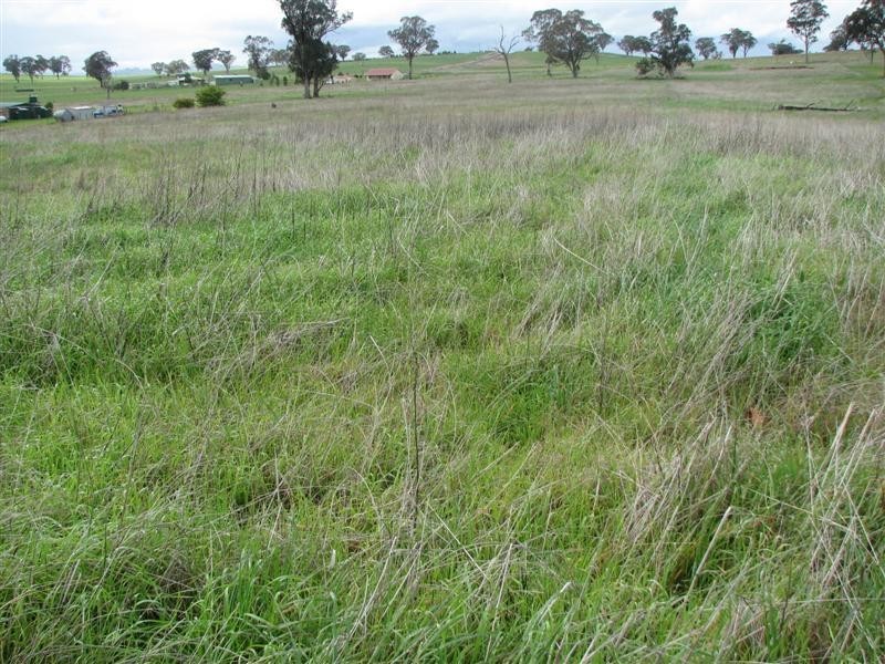 Lot 9 Cultowa Lane, Billimari NSW 2804