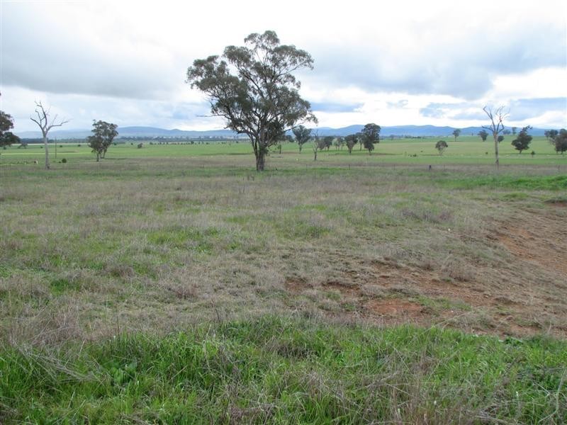 Lot 9 Cultowa Lane, Billimari NSW 2804