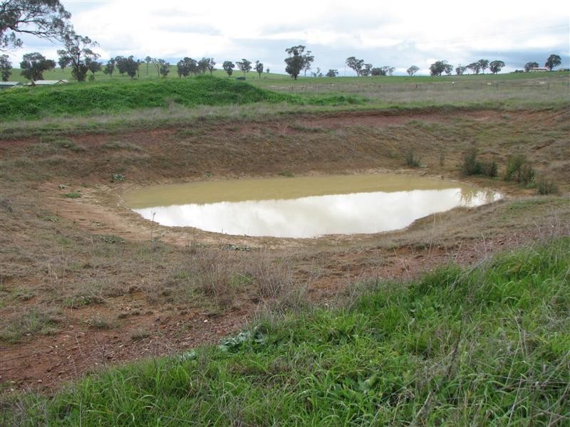 Lot 9 Cultowa Lane, Billimari NSW 2804